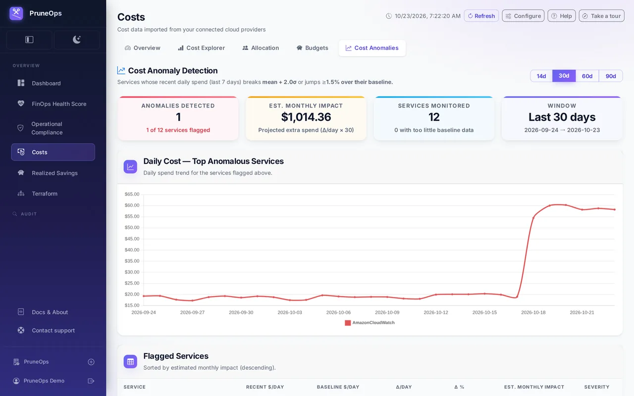Cost anomaly detection: the services flagged and the daily trend of the spike.
